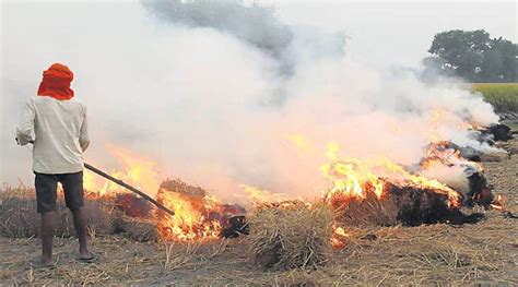 is stubble burning illegal in india